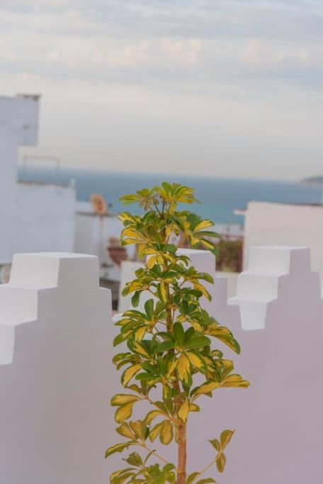 Dar Louban House In Tangier Kasbah Apartment Luaran gambar